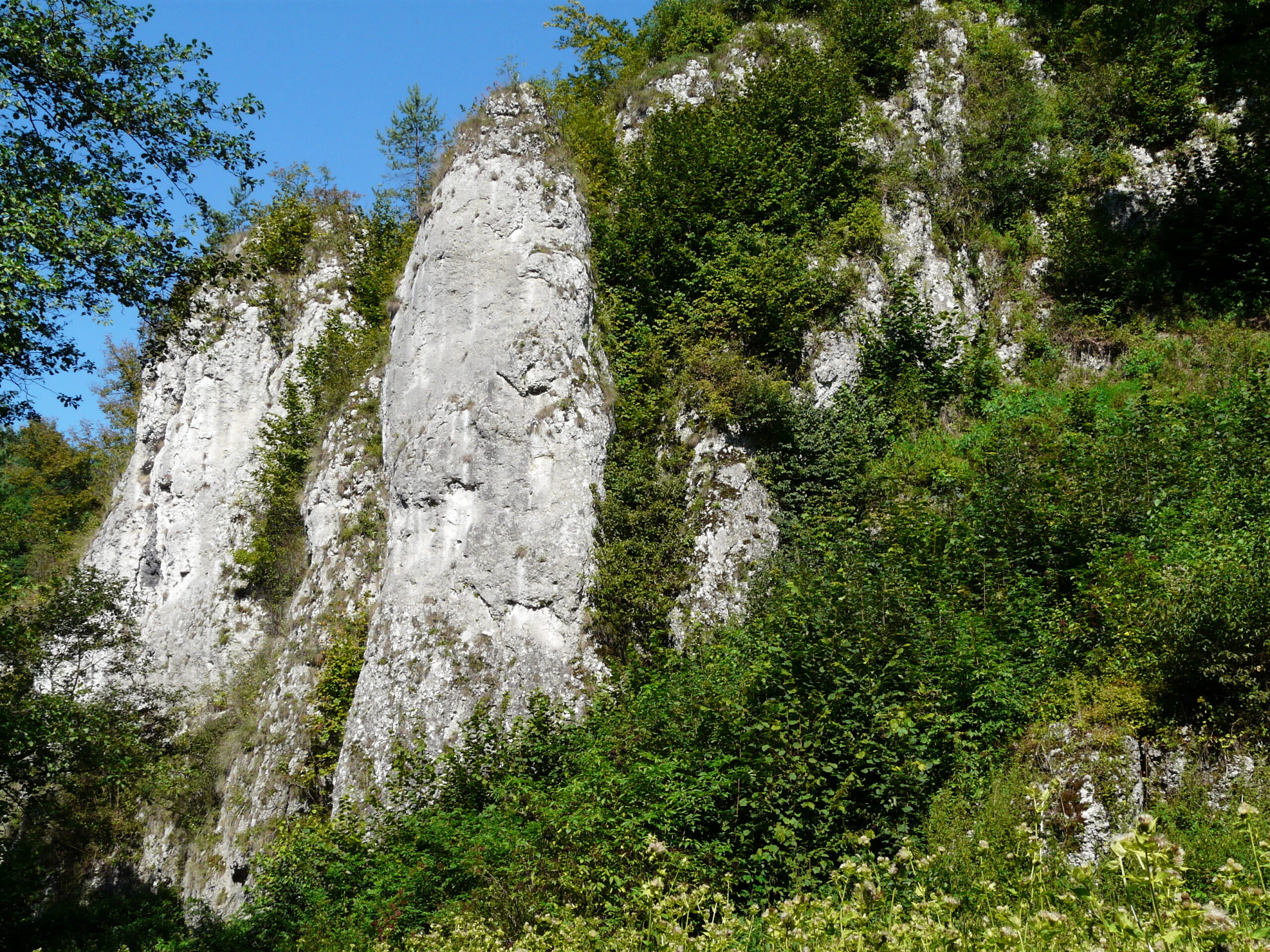 praca zdalna, workation, praca i odpoczynek, praca z psem, wyjazd z psem, domki z ogródkiem, domki z wifi, domki z biurkiem, praca w ogródku, taras, sauna