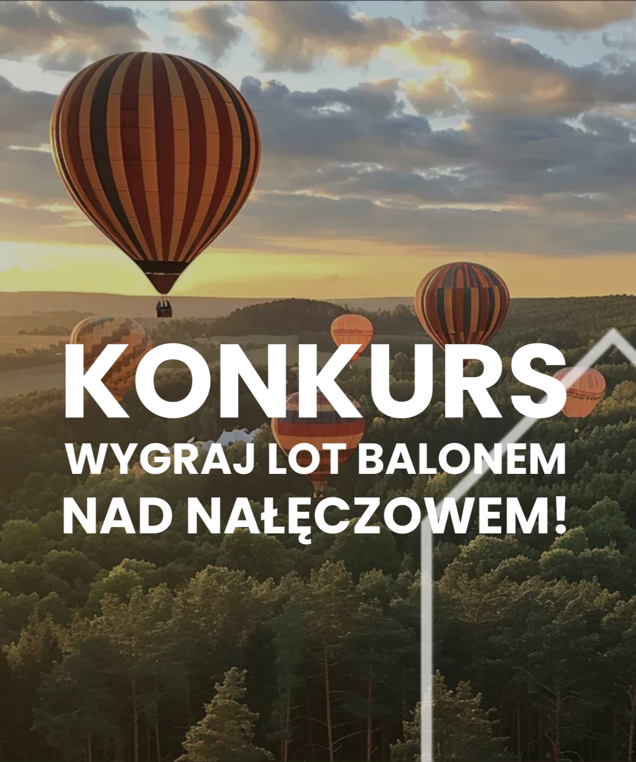 praca zdalna, workation, praca i odpoczynek, praca z psem, wyjazd z psem, domki z ogródkiem, domki z wifi, domki z biurkiem