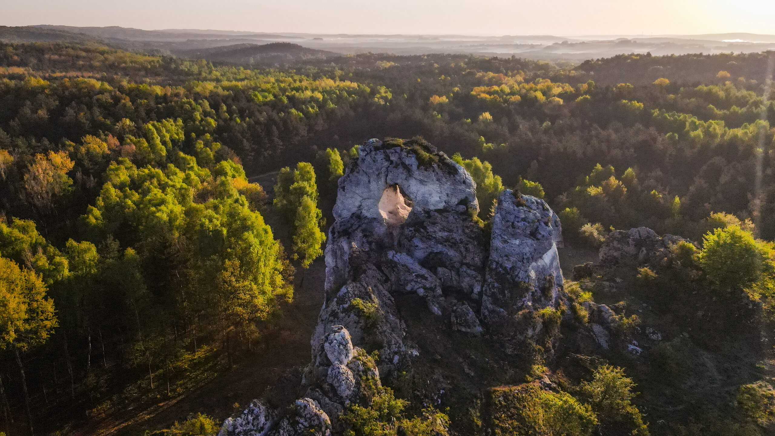 praca zdalna, workation, praca i odpoczynek, praca z psem, wyjazd z psem, domki z ogródkiem, domki z wifi, domki z biurkiem, praca w ogródku, taras, sauna