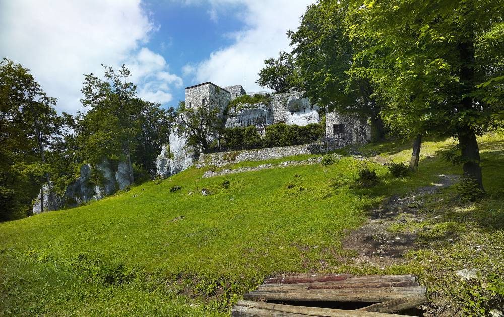 praca zdalna, workation, praca i odpoczynek, praca z psem, wyjazd z psem, domki z ogródkiem, domki z wifi, domki z biurkiem, praca w ogródku, taras, sauna