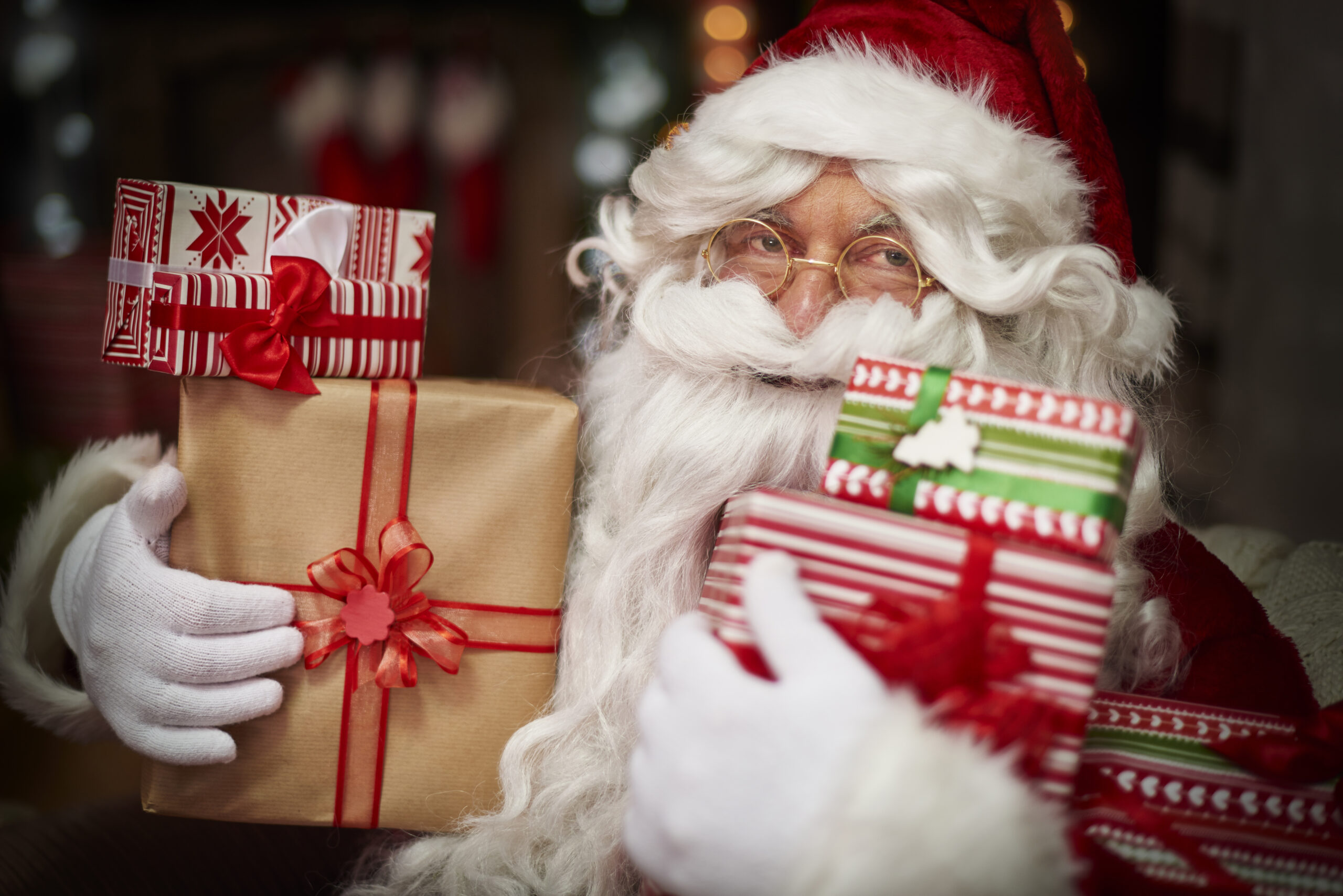 praca zdalna, workation, praca i odpoczynek, praca z psem, wyjazd z psem, domki z ogródkiem, domki z wifi, domki z biurkiem, praca w ogródku, taras, sauna