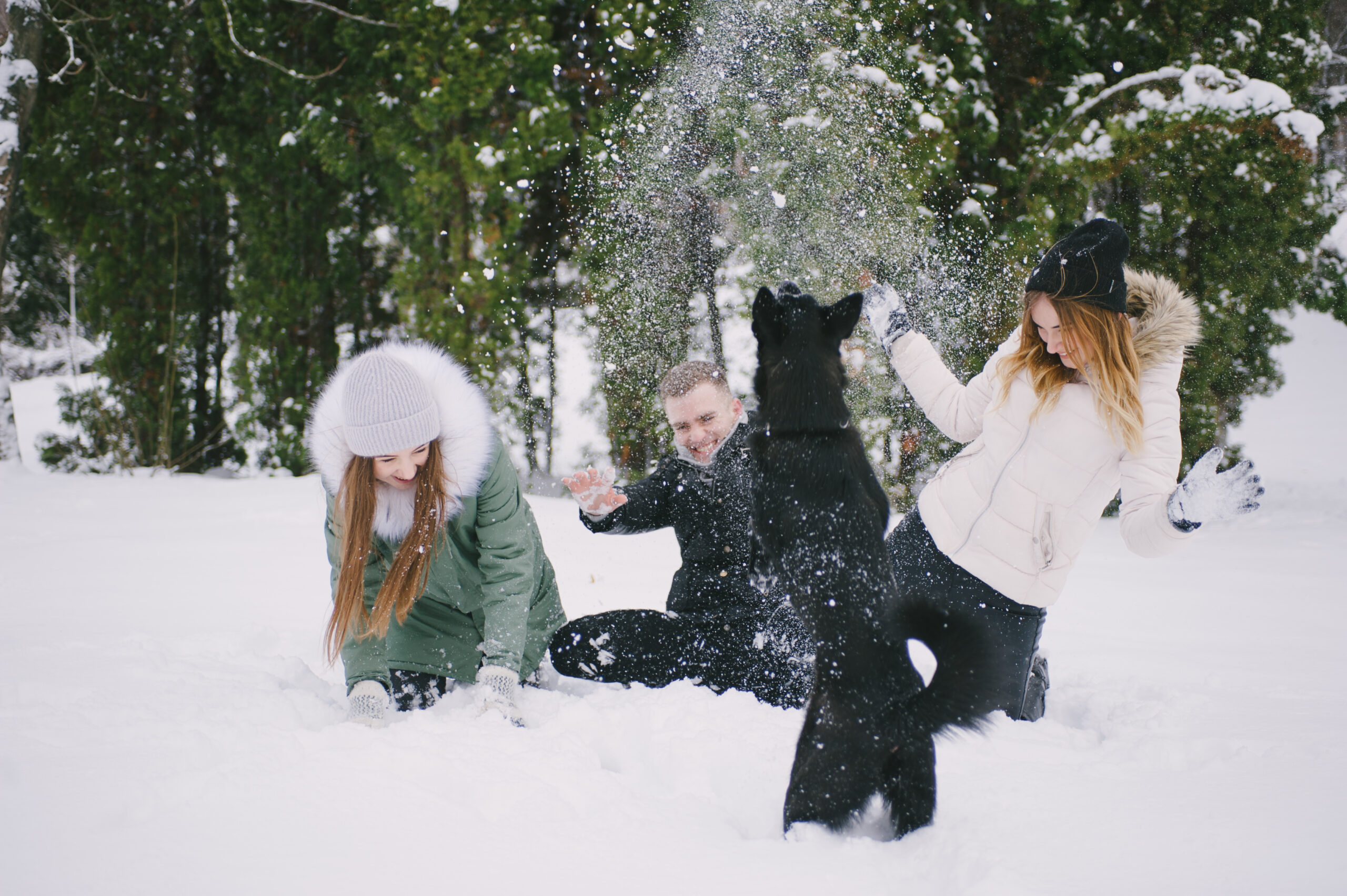praca zdalna, workation, praca i odpoczynek, praca z psem, wyjazd z psem, domki z ogródkiem, domki z wifi, domki z biurkiem, praca w ogródku, taras, sauna