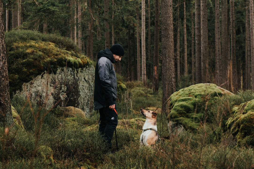 praca zdalna, workation, praca i odpoczynek, praca z psem, wyjazd z psem, domki z ogródkiem, domki z wifi, domki z biurkiem, praca w ogródku, taras, sauna